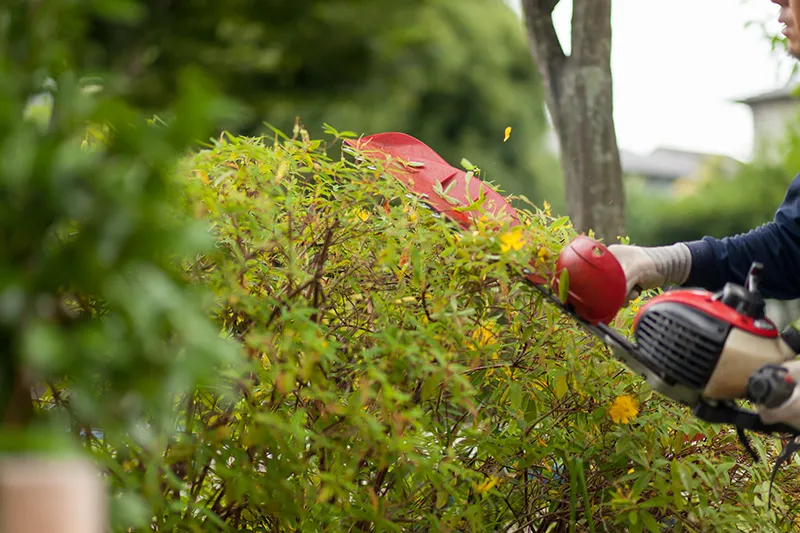 株式会社新誠開発